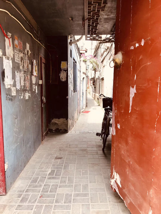 Visit HuTong in Beijing