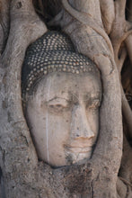 Load image into Gallery viewer, Buddha Head Tree, Thailand - Original Prints, 1/20 Edition
